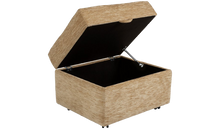 Load image into Gallery viewer, Optional Extras for Celebrity Fabric Models