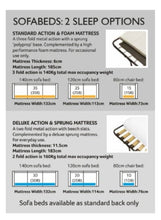 Load image into Gallery viewer, Barkstone | 2 Seat Sofa Bed