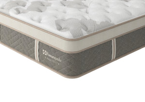 Sealy Exquisite | Indulgence Plush