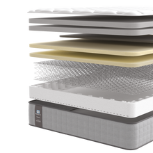 Load image into Gallery viewer, Sealy | Elevate Luxury Plush