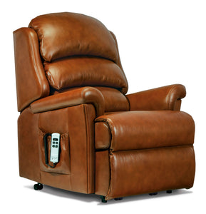 Sherborne | Albany Riser Recliner | Leather