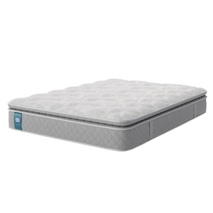 Sealy | Ashton Mattress / Bed Set