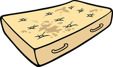 Mattress Disposal